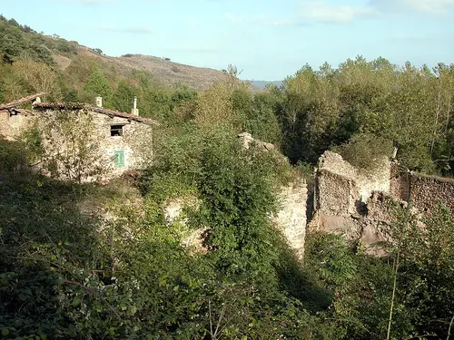 Amunartia