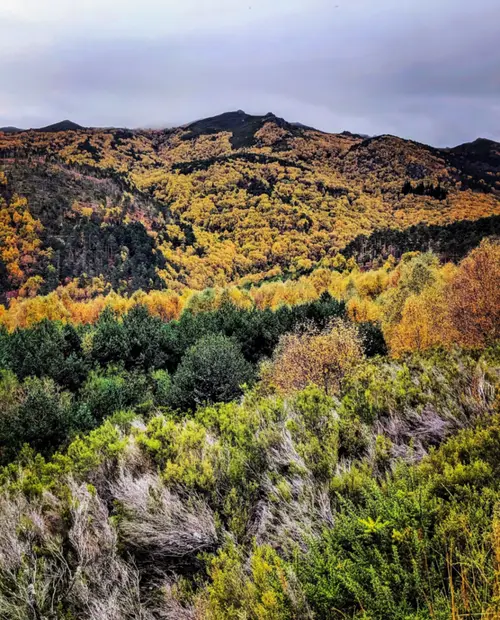 Bidueiral de Montederramo