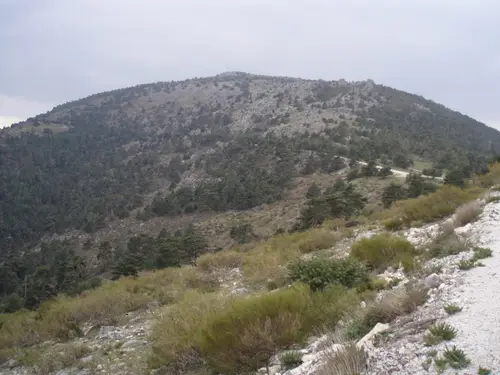 Cabeza Líjar
