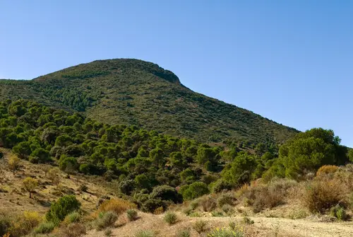 Cabezo de la Jara