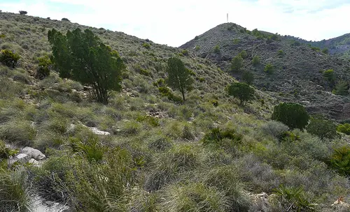 Cabezo del Sabinar