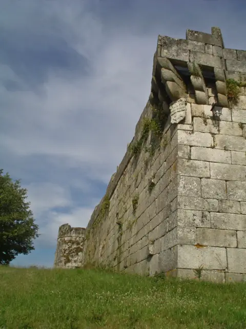 Castillo de Maceda