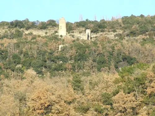 Castillo de San Miguel de la Vall