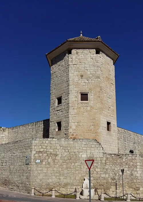 Castillo del Moral