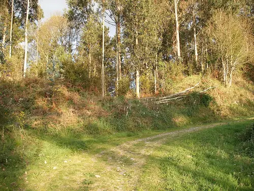Castro de Centroña