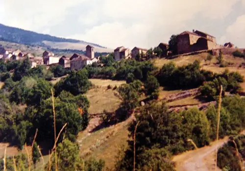 Cenarbe