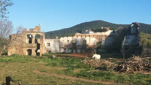 Colegio del Río