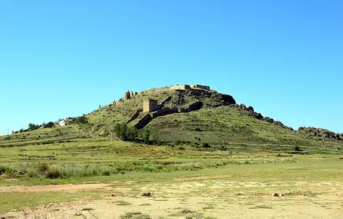 Coracha de Moya