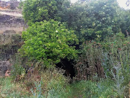 Cueva de la Vaquera