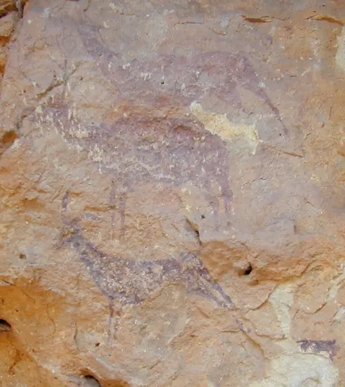 Cuevas de la Araña