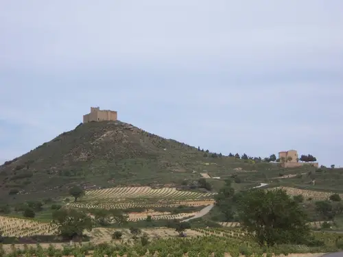 Davalillo