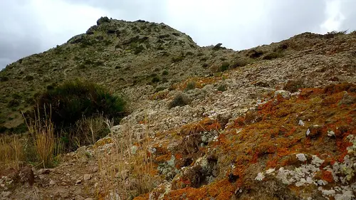 El Carmolí
