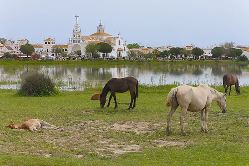 El Rocío