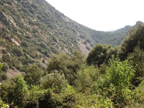 Ermita de San Martín de la Val de Onsera