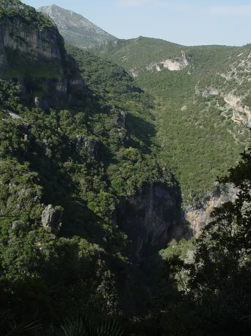Garganta Verde