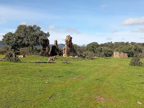 Herreros