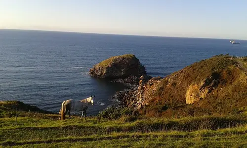 Isla de la Ladrona