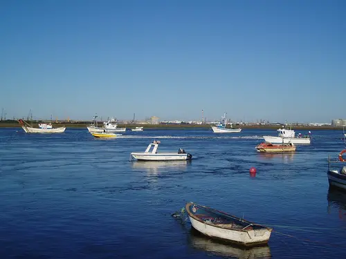 Isla Saltés