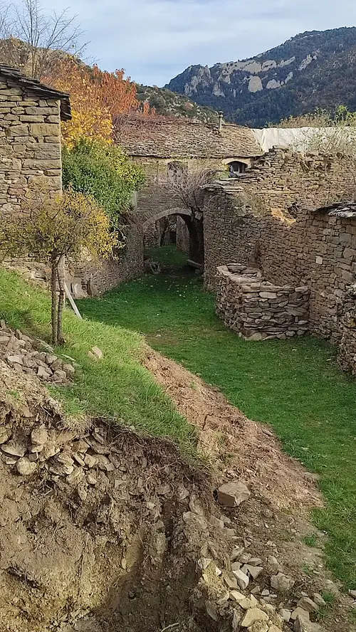 Lúsera