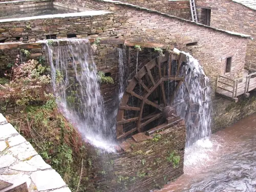 Mazonovo