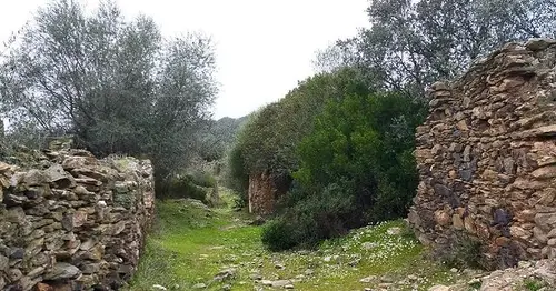 Membrillo Bajo