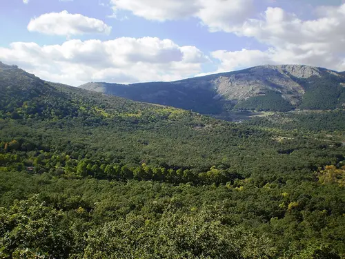 Paraje pintoresco del Pinar de Abantos y Zona de La Herrería