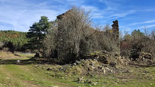 Pardina de Usieto