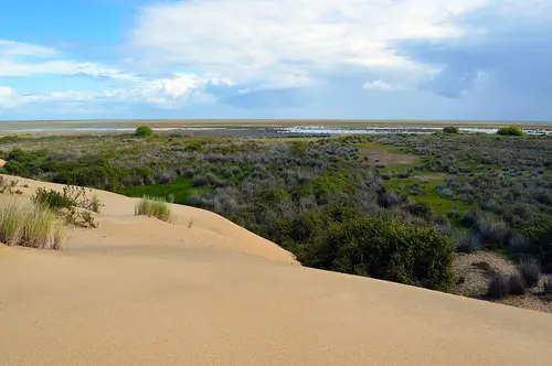 Parque nacional y natural de Doñana