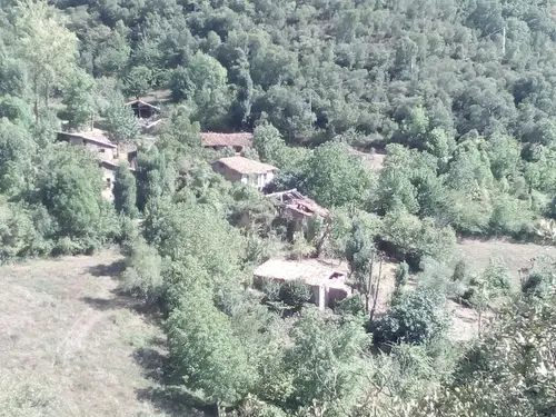Porcieda