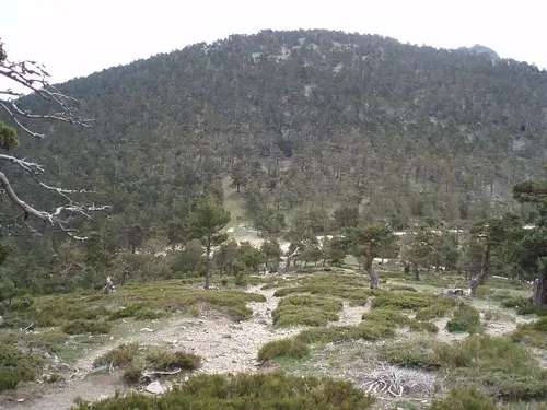 Puerto de La Fuenfría