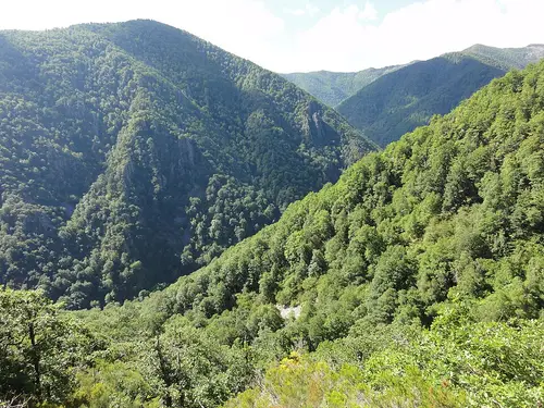 Reserva natural integral de Muniellos