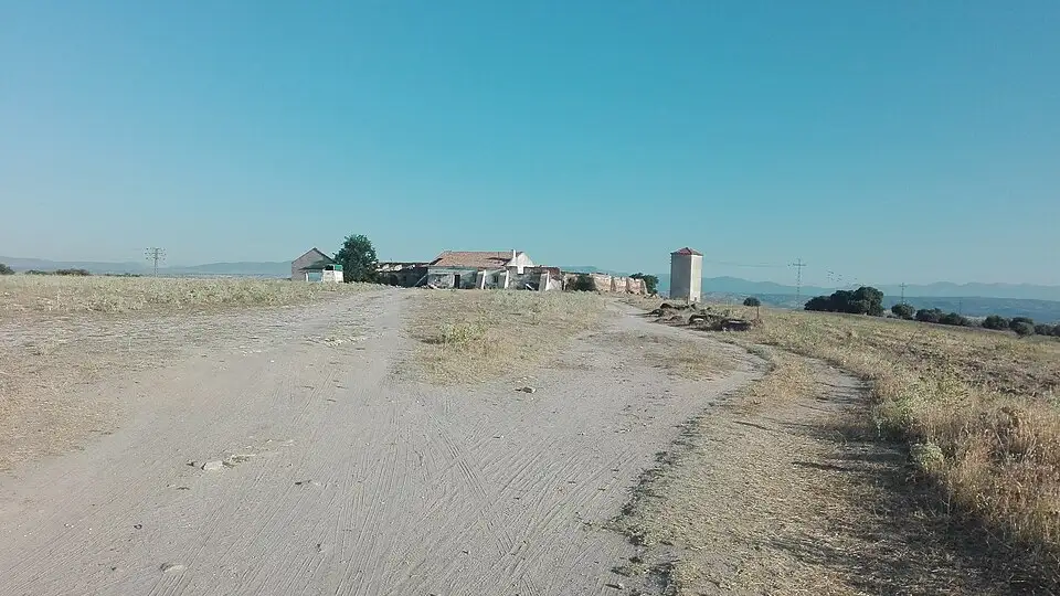 Romanillos