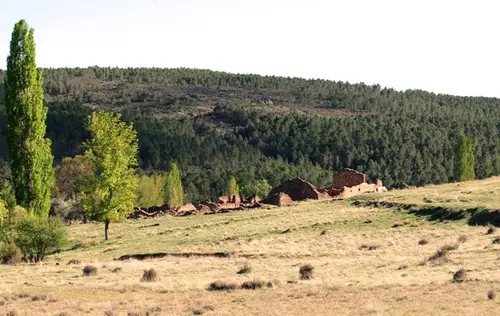 Sacedoncillo