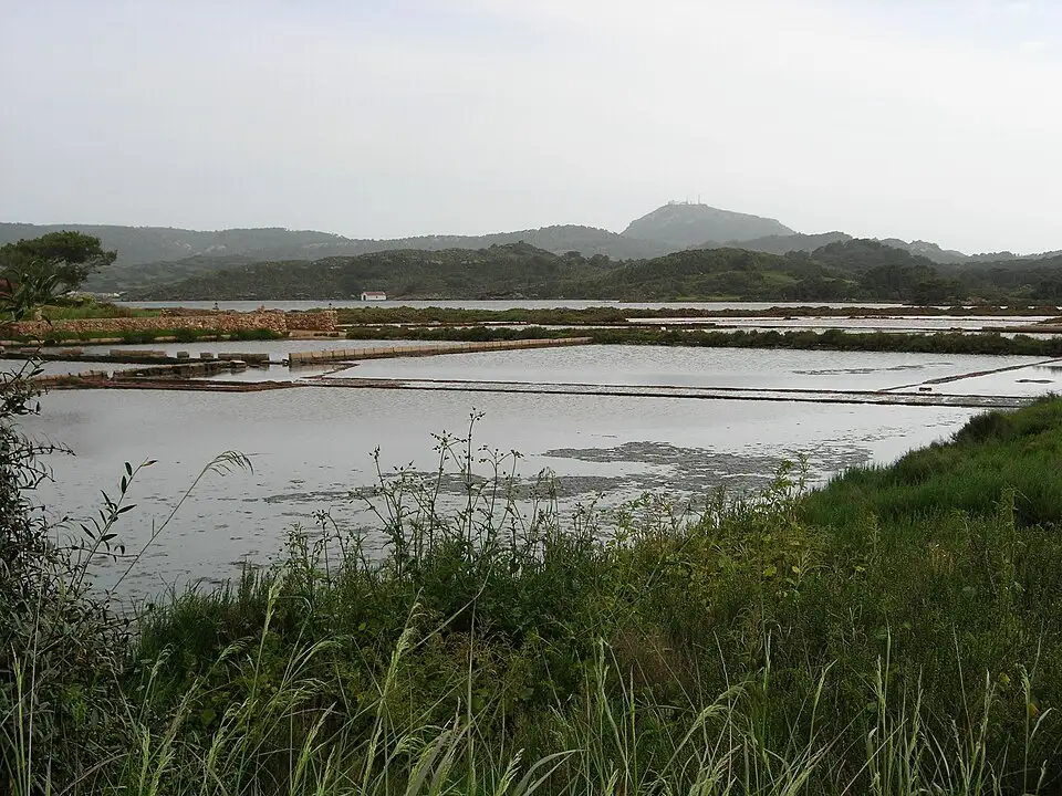 Salinas de Fornells
