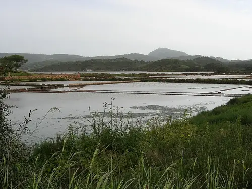 Salinas de Fornells