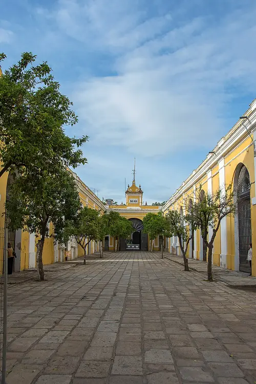 San Bernardo