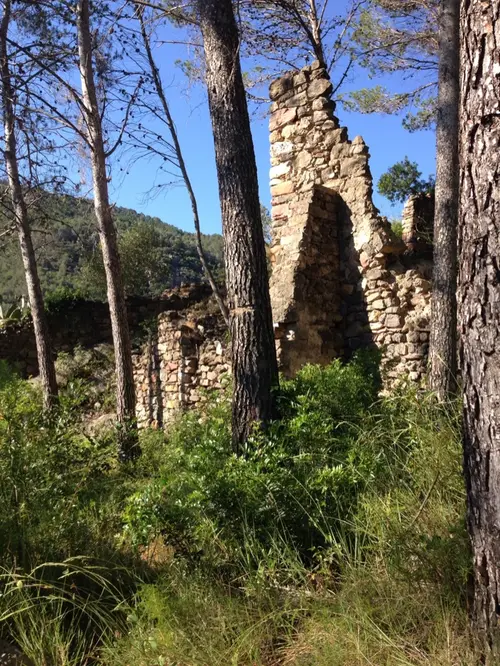 Sueras Alta