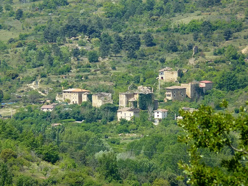 Tamayo