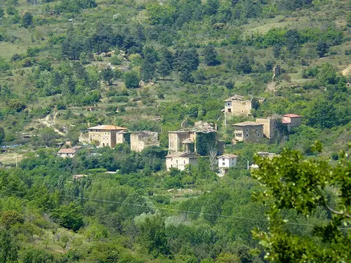 Tamayo
