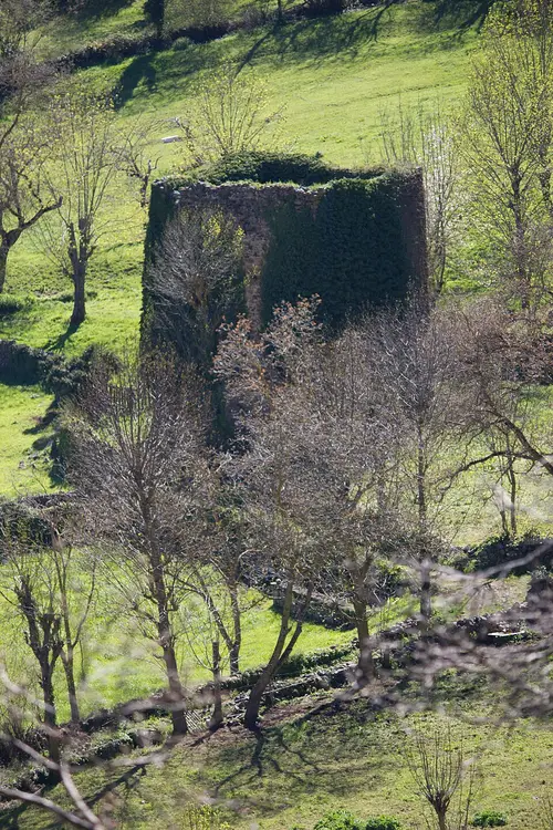 Torres de Bores